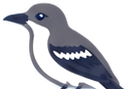 Northern mockingbird from the Snowbird Home Concierge logo